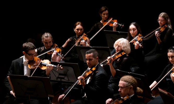 Violinists performing on stage in black formal wear, led by their concertmaster.