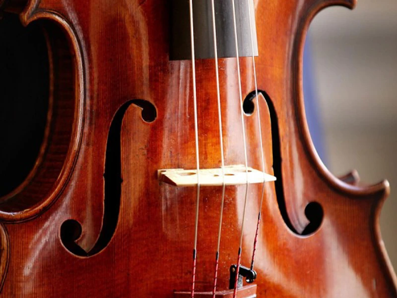 Meet our Violists Close up of a viola