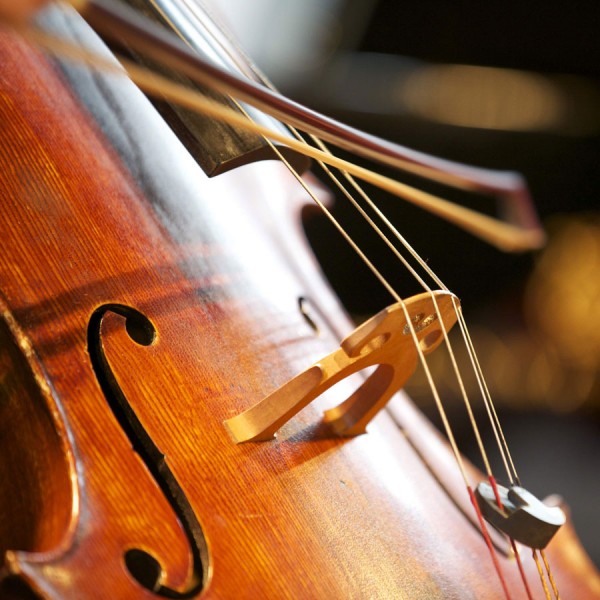 Close up of a cello and bow