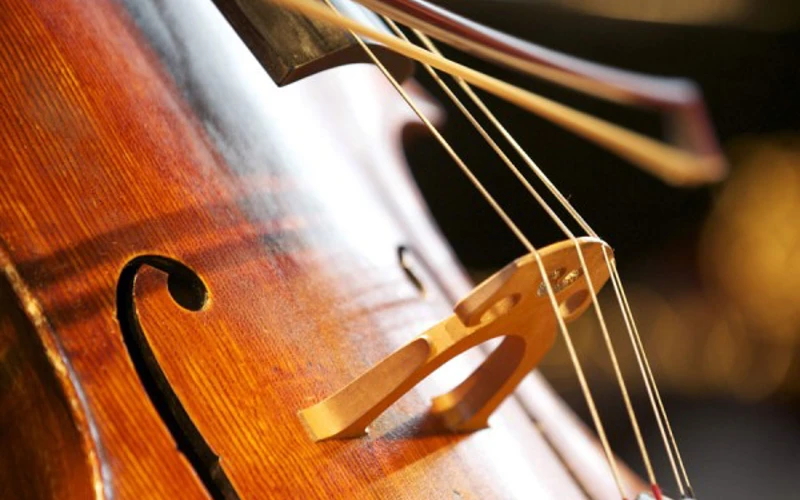 Close up of a cello and bow