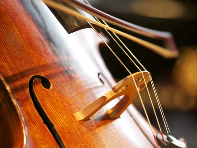Meet our Cellists Close up of a cello and bow