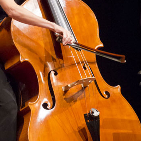 Close up of a double bass being played