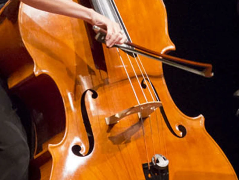 Meet our Emeritus Musicians Close up of a double bass being played