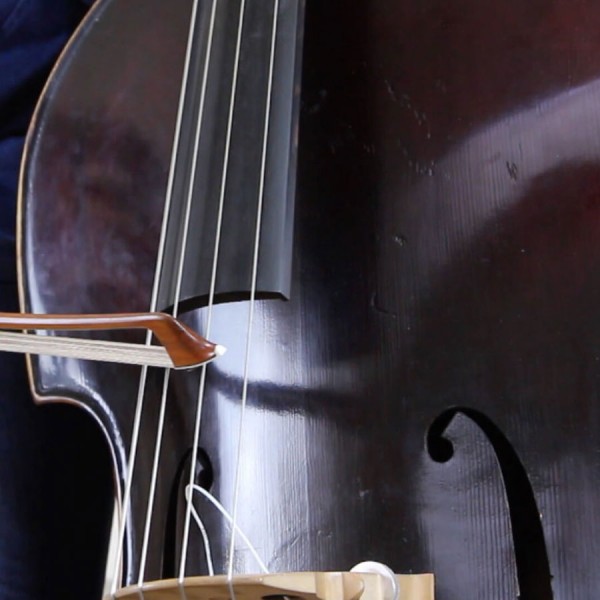 Close up of a dark coloured double bass