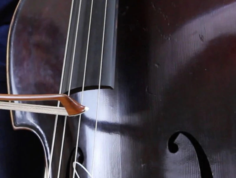 Meet our Double Bassists Close up of a dark coloured double bass