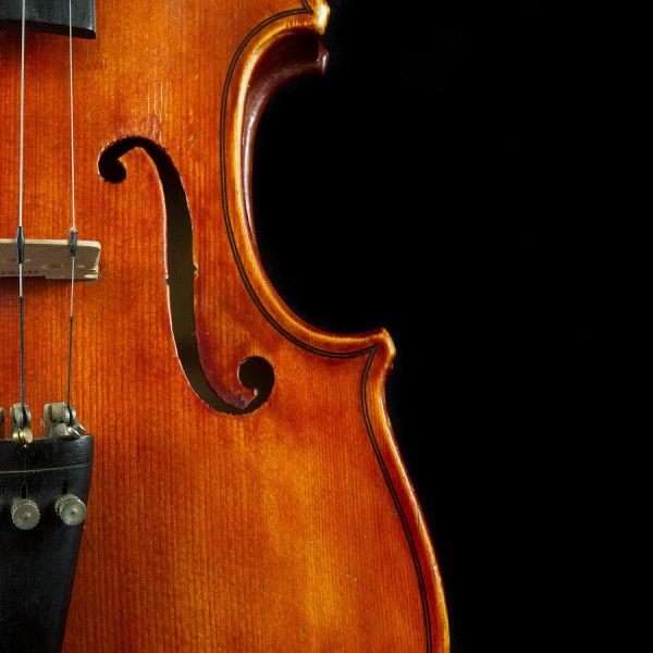 Close up of a violin