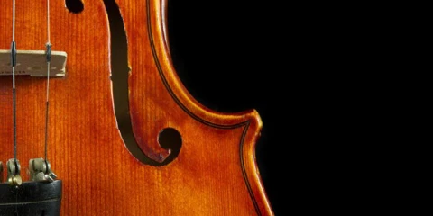 Close up of a violin