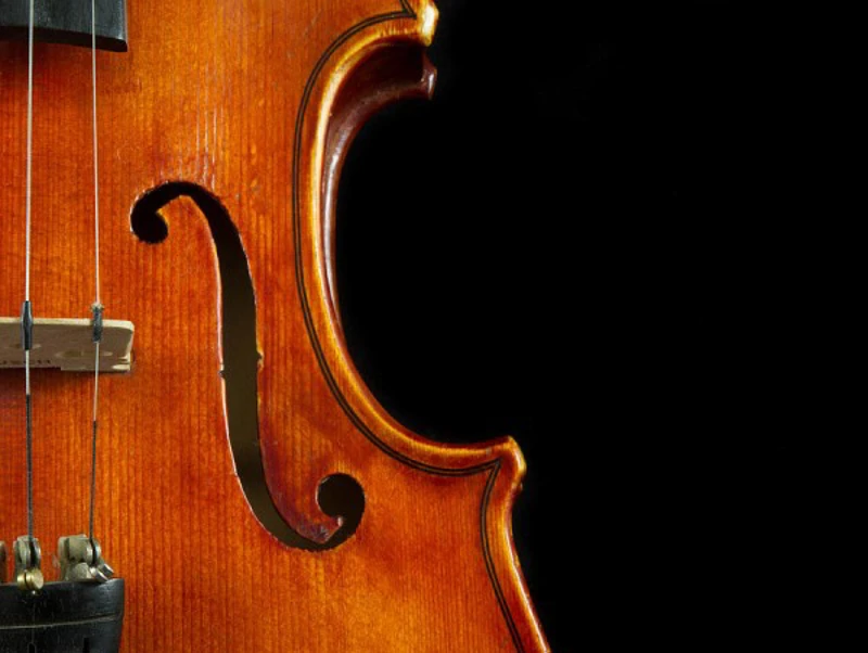 Meet our Violinists Close up of a violin