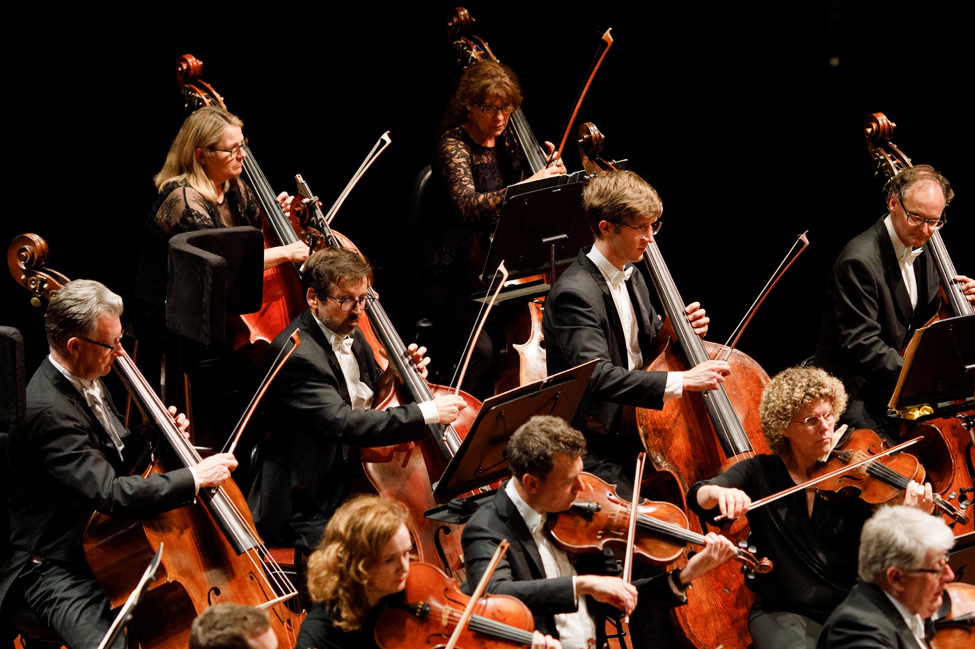 WASO's string section performing on stage, wearing formal concert attire.